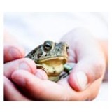 Burn Out und die Folgen