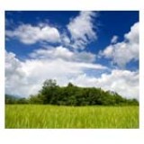 Stiftung Warentest mit mehr Befugnissen für die PKV