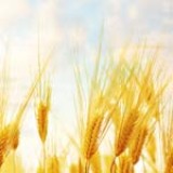 Stiftung Warentest für Unisex- Berufsunfähigkeitsversicherung erwartet